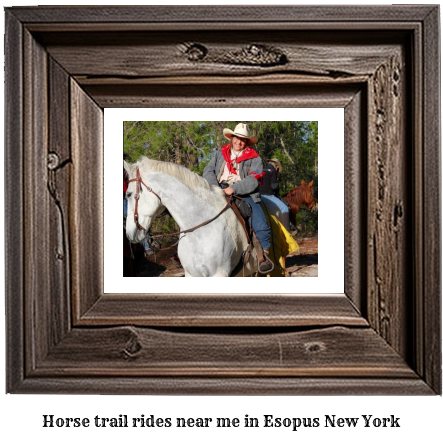 horse trail rides near me in Esopus, New York